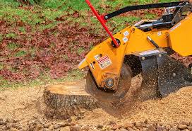 Tree and Shrub Care in Echelon, NJ