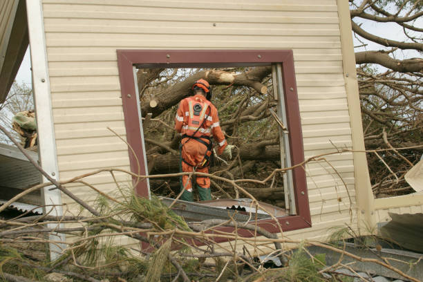 Best Utility Line Clearance  in Echelon, NJ
