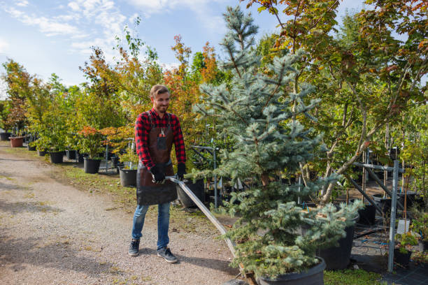 Soil Testing and Treatment in Echelon, NJ